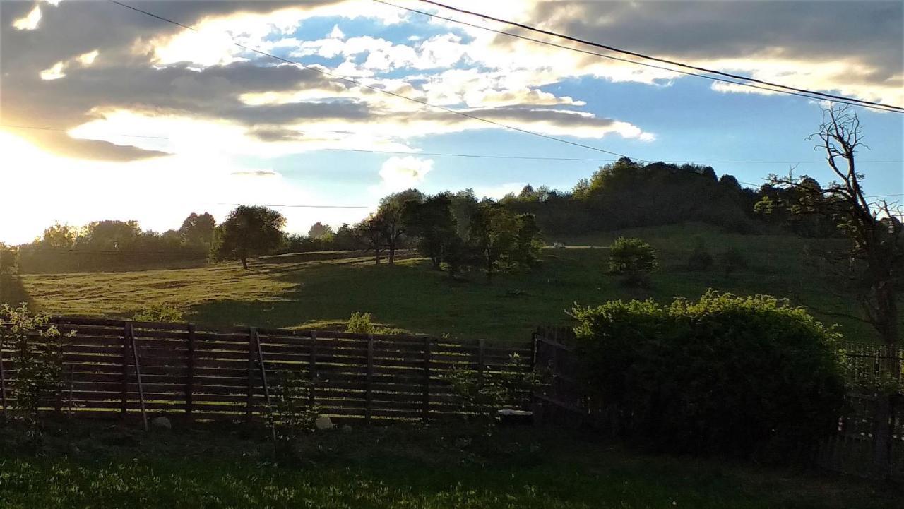 La Livada Villa Valea Danului Eksteriør billede