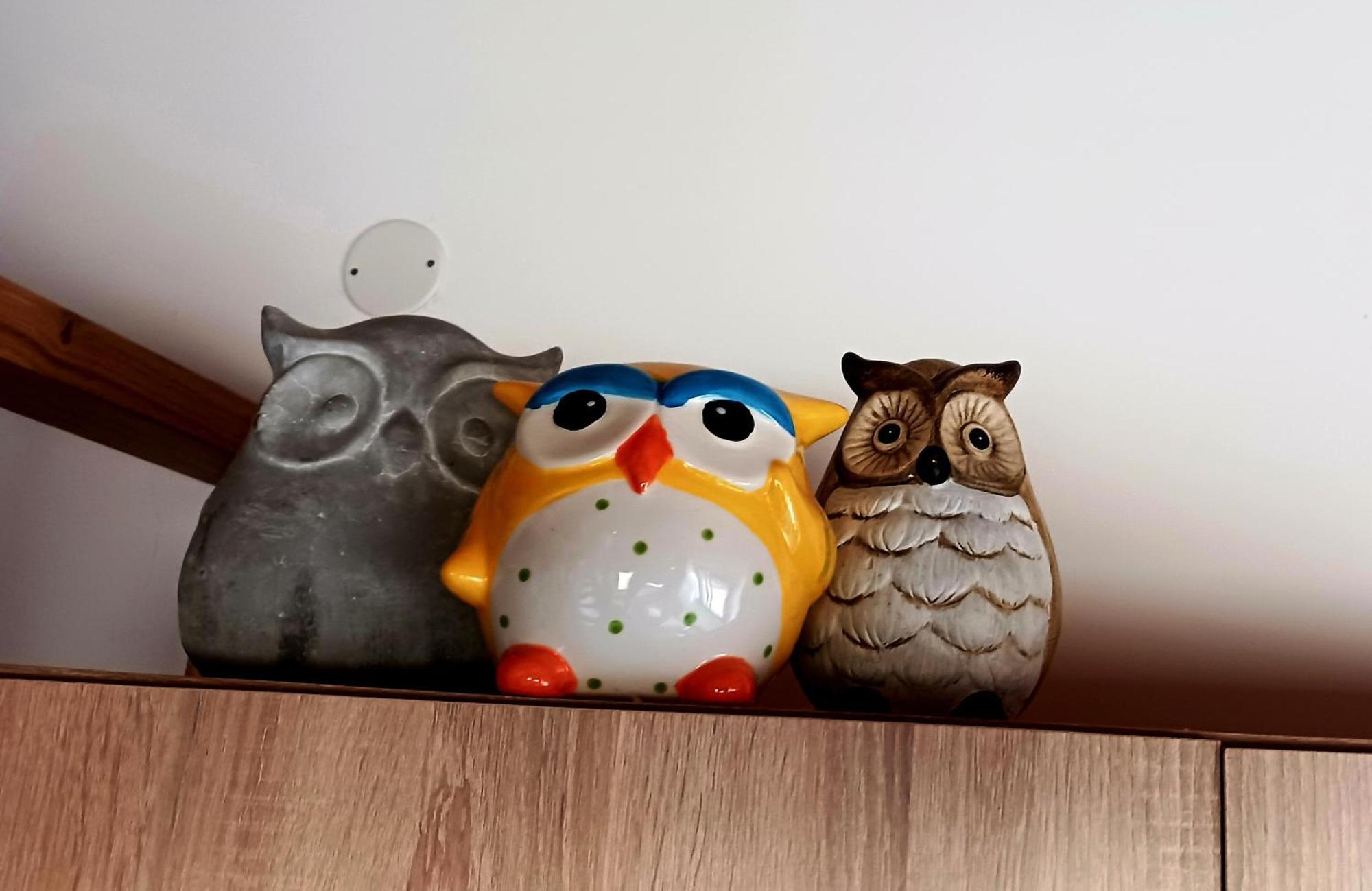 La Livada Villa Valea Danului Eksteriør billede